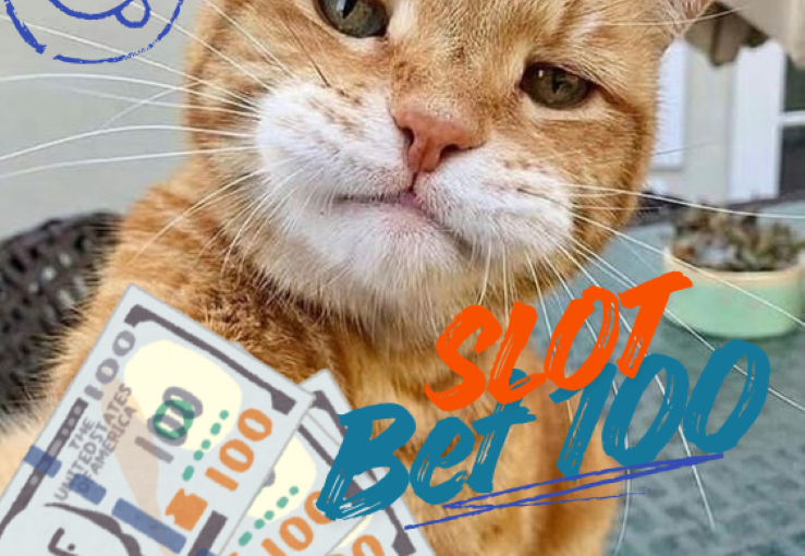 Slot Bet 100 dengan Strategi Cerdas untuk Modal Terbatas